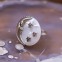 Bague d'exception en argent, marcassites, Grenat et Nacre