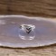Bague en argent