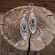 Boucles d'oreilles en argent et pierre grenat