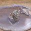 Bague en argent