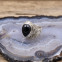 Bague en argent et pierre onyx