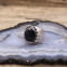 Bague en argent et pierre onyx