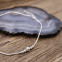 Bracelet de cheville en argent