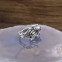 Bague en argent poulpe
