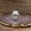 Bague "tigre" en argent