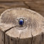 Bague en argent et lapis lazuli