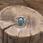 Bague en argent et howlite turquoise