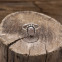 Bague en argent et quartz rose