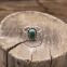 Bague en argent et malachite