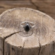 Bague en argent et onyx