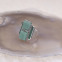 Bague d'exception en argent, marcassites et jade
