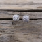 Boucles d'oreilles d'exception en argent et zirconium