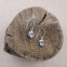 Boucles d'oreilles en argent et topaze bleue