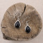 Boucles d'oreilles en argent et onyx