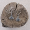 Boucles d'oreilles en argent et topaze bleue
