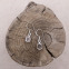 Boucles d'oreilles en argent et diamant d'Herkimer