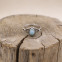 Bague en argent et larimar