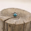 Bague en argent et turquoise howlite