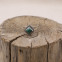 Bague en argent et malachite