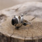 Bague poison en argent et onyx