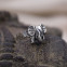 Bague en argent petit éléphant