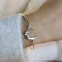 Bracelet rigide en argent - lune
