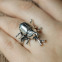 Bague en argent - scarabée