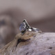 Bague en argent et pierre de lune