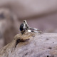 Bague en argent et labradorite