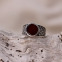 Bague en argent et cornaline