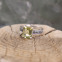 Bague d'exception en argent avec quartz lemon et marcassites