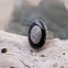 Bague en argent et onyx