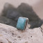 Bague en argent et amazonite