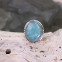 Bague en argent et amazonite