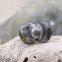 Bague en argent et labradorite