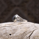 Bague en argent et labradorite
