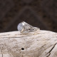 Bague en argent et pierre de lune
