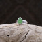 Bague en argent et jade vert