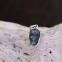 Pendentif en argent et labradorite - tête de mort