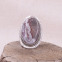 Bague en argent et agate crazy lace