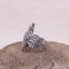 Bague en argent - Faucon