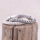 Bracelet en argent Snake Le Isa