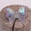 Broche en argent avec marcassites, abalone et rubis - papillon