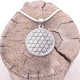 Pendentif en argent fleur de vie