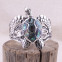 Bracelet rigide en argent et abalone - tortue