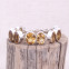 Bracelet en argent et citrine