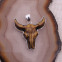 Pendentif en argent et oeil de tigre - crâne de taureau